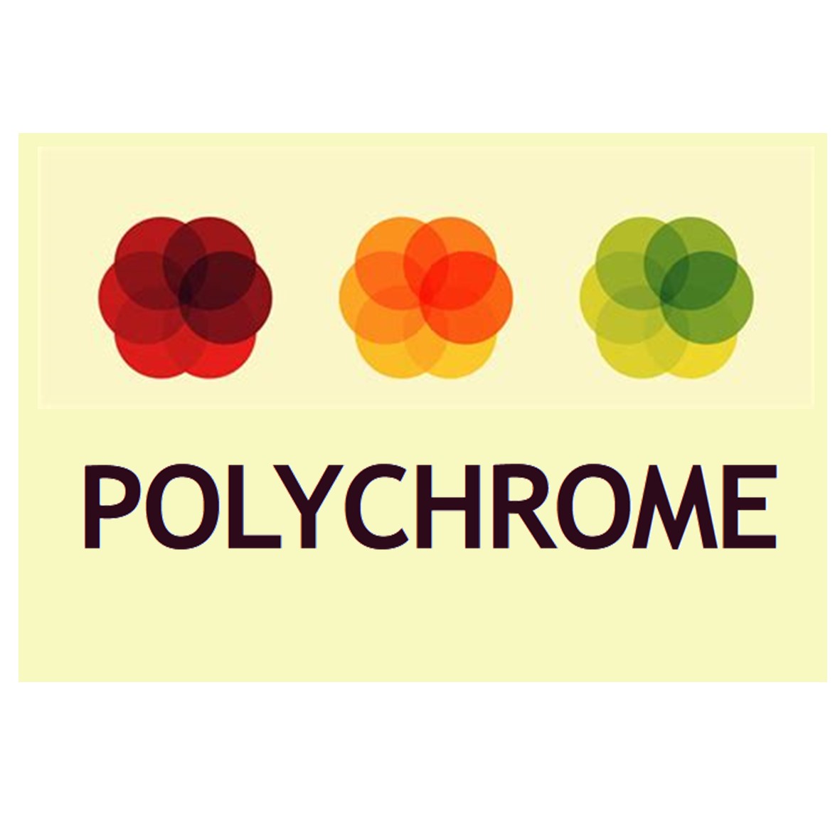 biodiversitup_ferme florale polychrome
