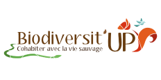 Biodiversit'up