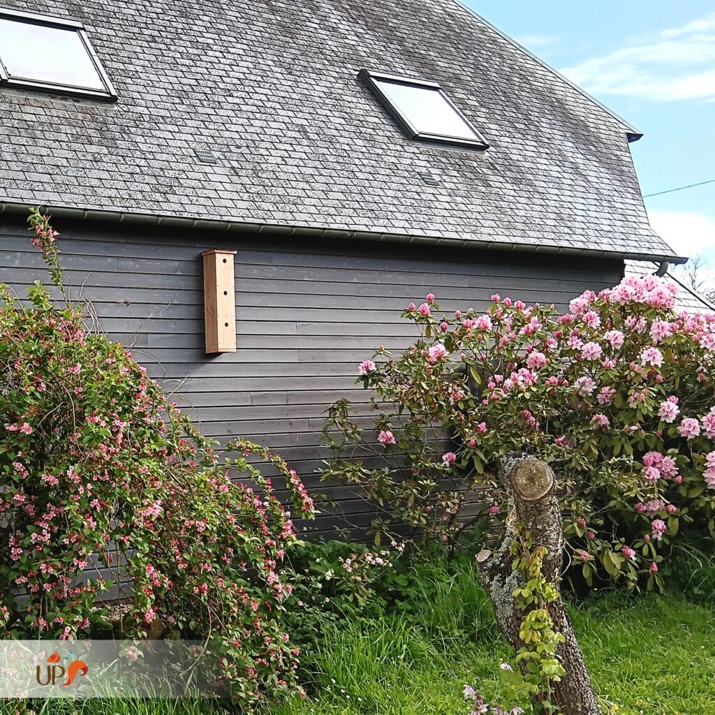 biodiversitup_PFS particulier (10)