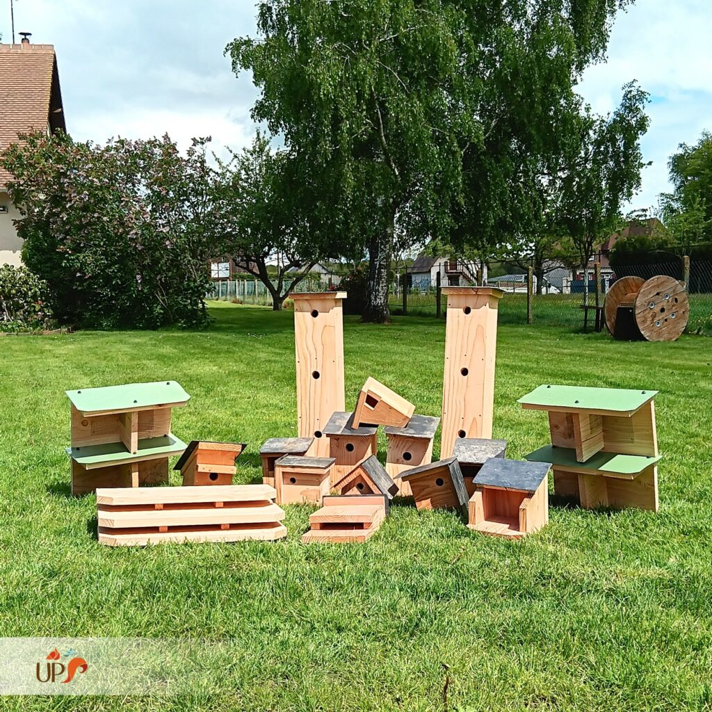 biodiversitup_PFS particulier (11)