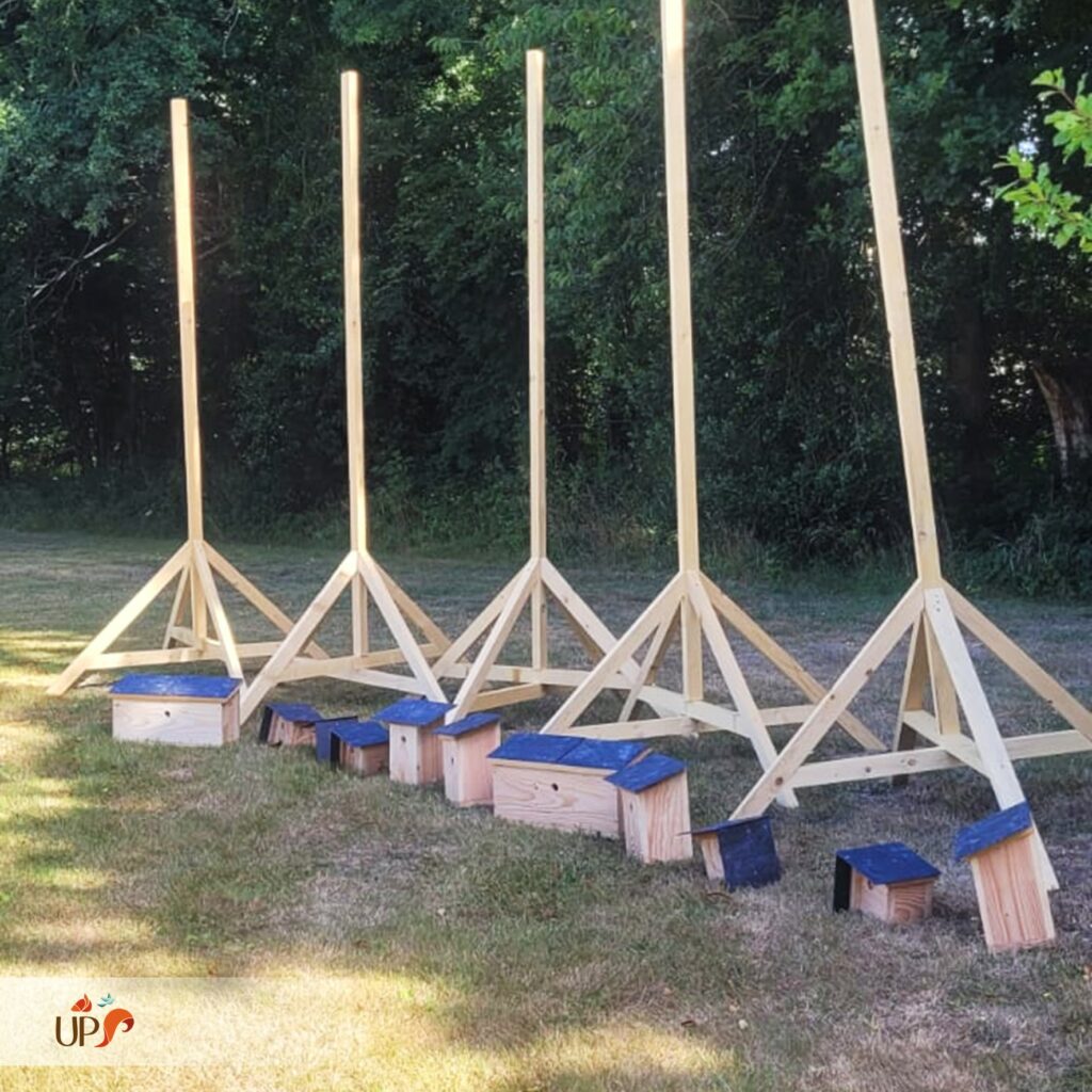 biodiversitup_PFS particulier (2)