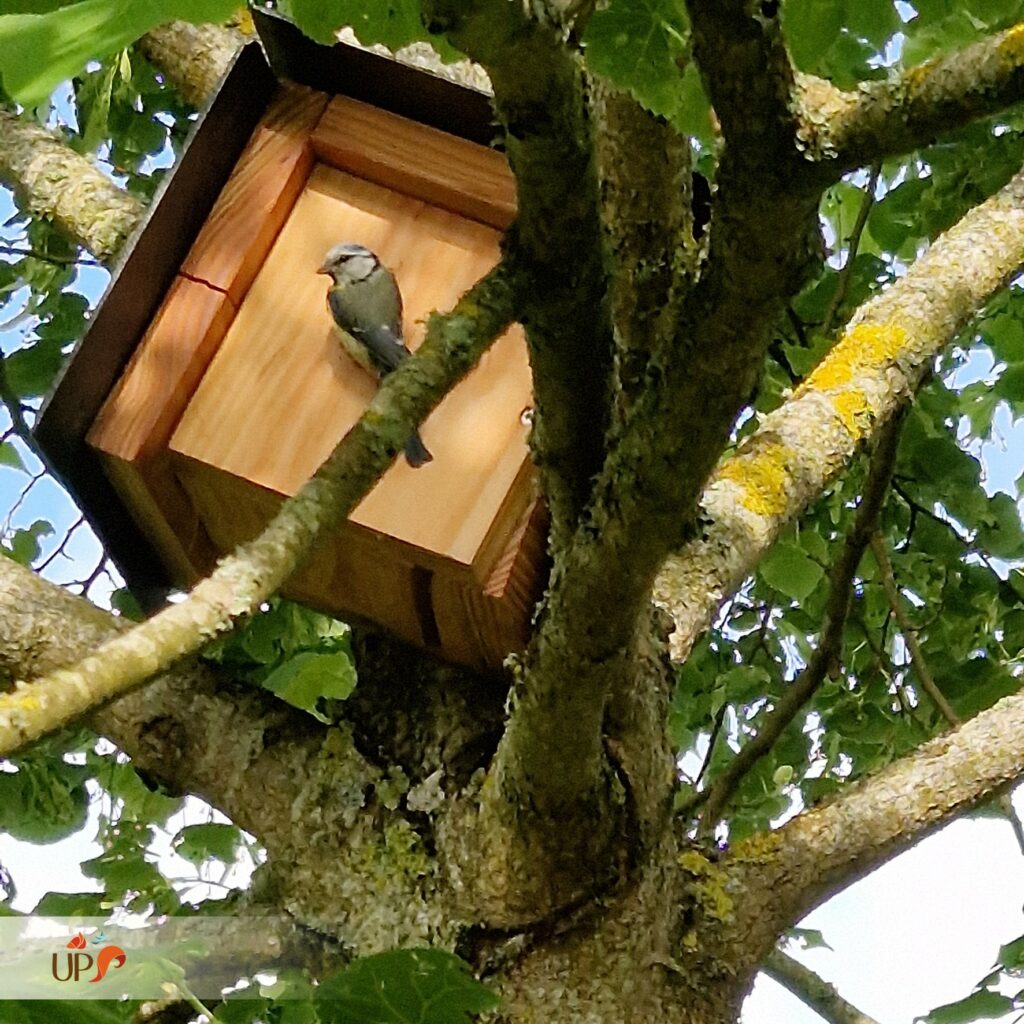biodiversitup_PFS particulier (4)
