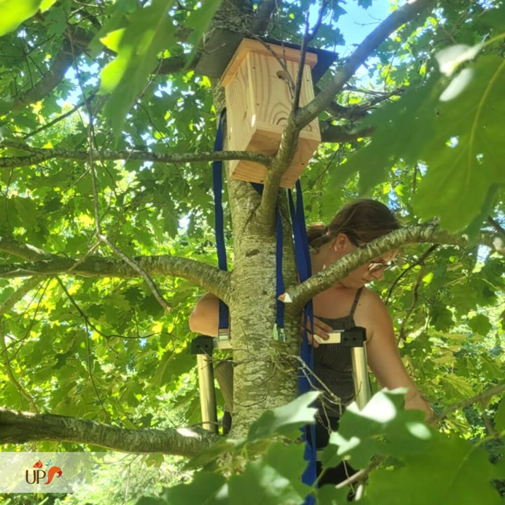 biodiversitup_PFS particulier (7)