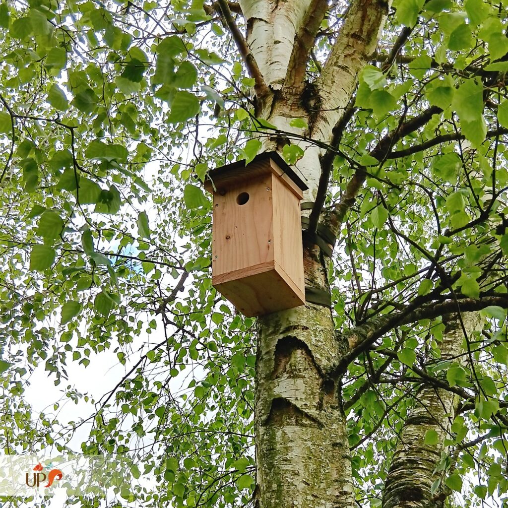 biodiversitup_PFS particulier (9)