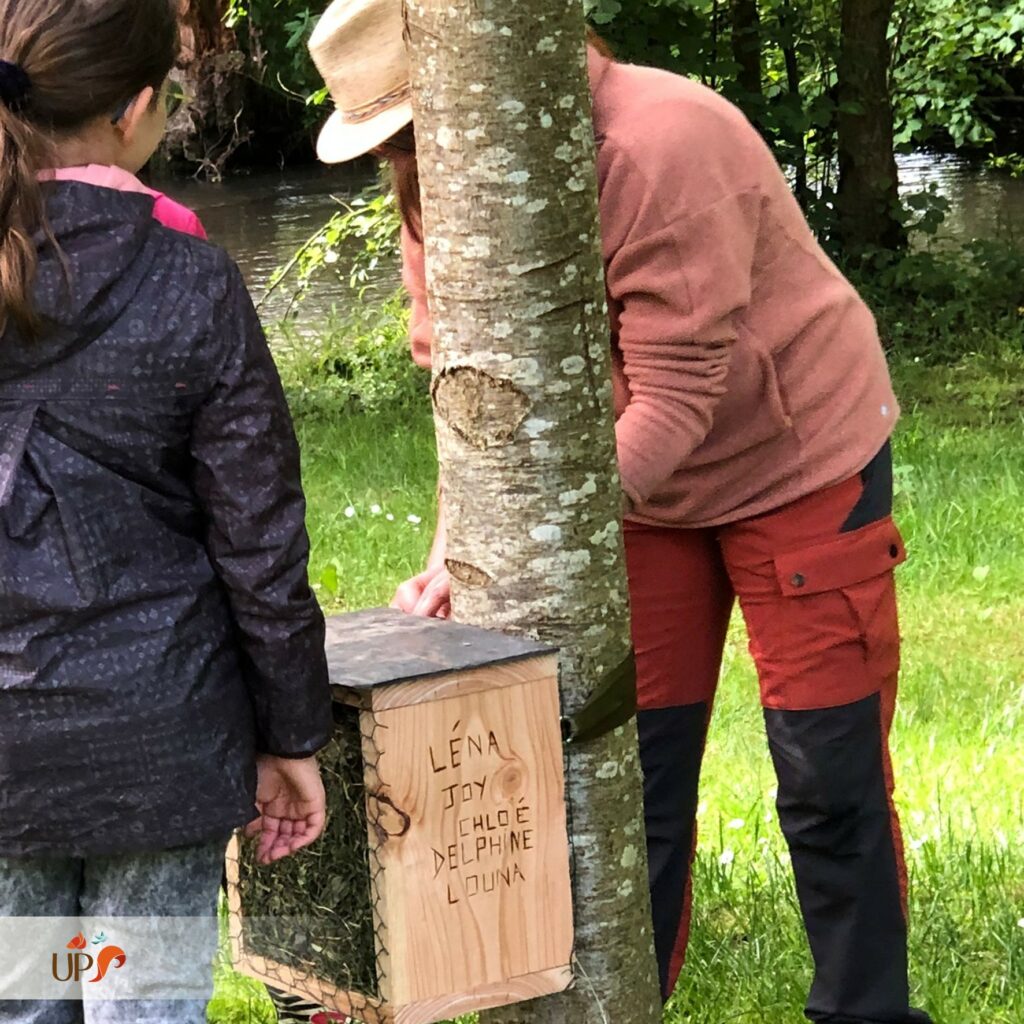 biodiversitup_PFS scolaire (10)