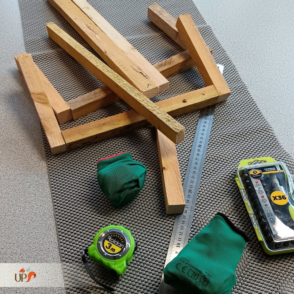 biodiversitup_PFS scolaire (11)