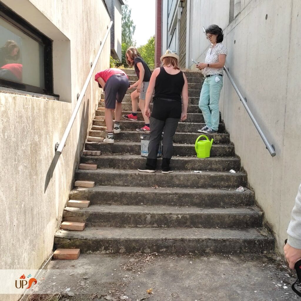 biodiversitup_PFS scolaire (12)