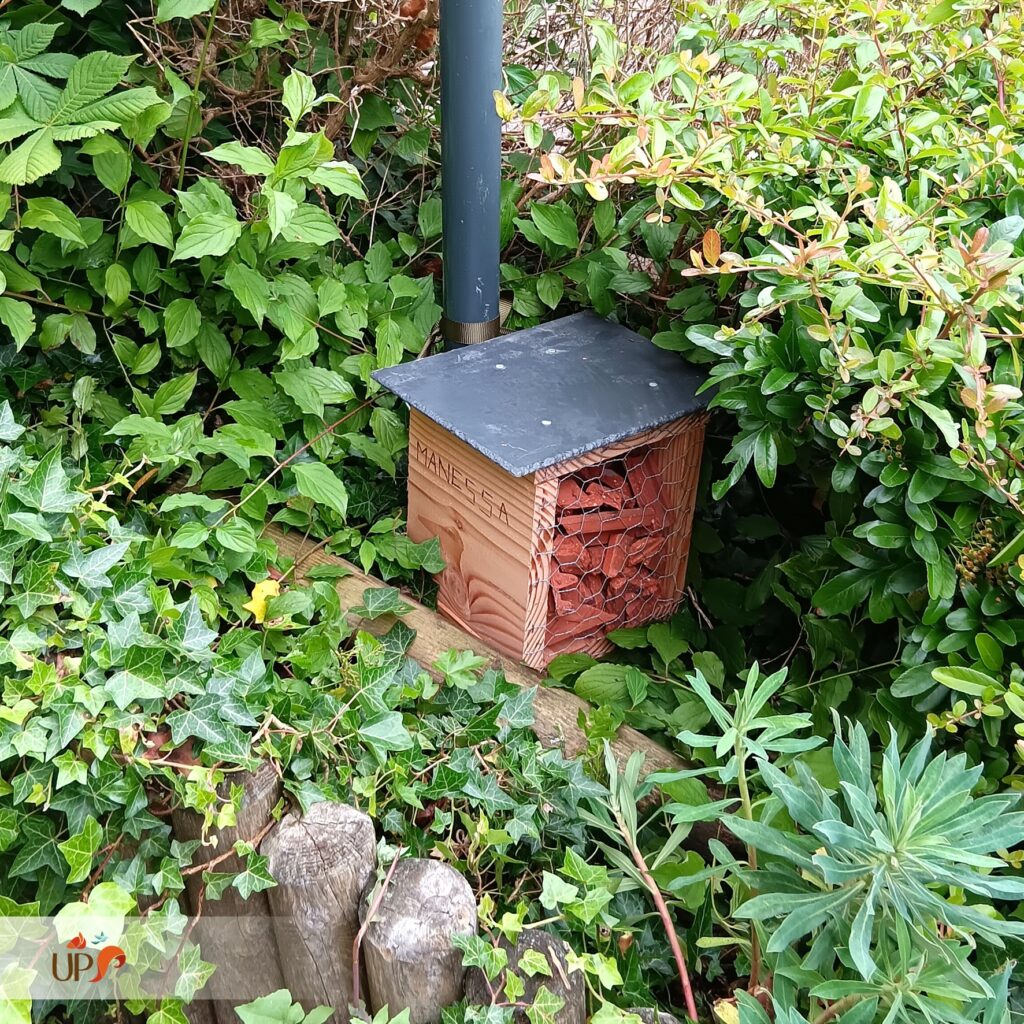 biodiversitup_PFS scolaire (14)