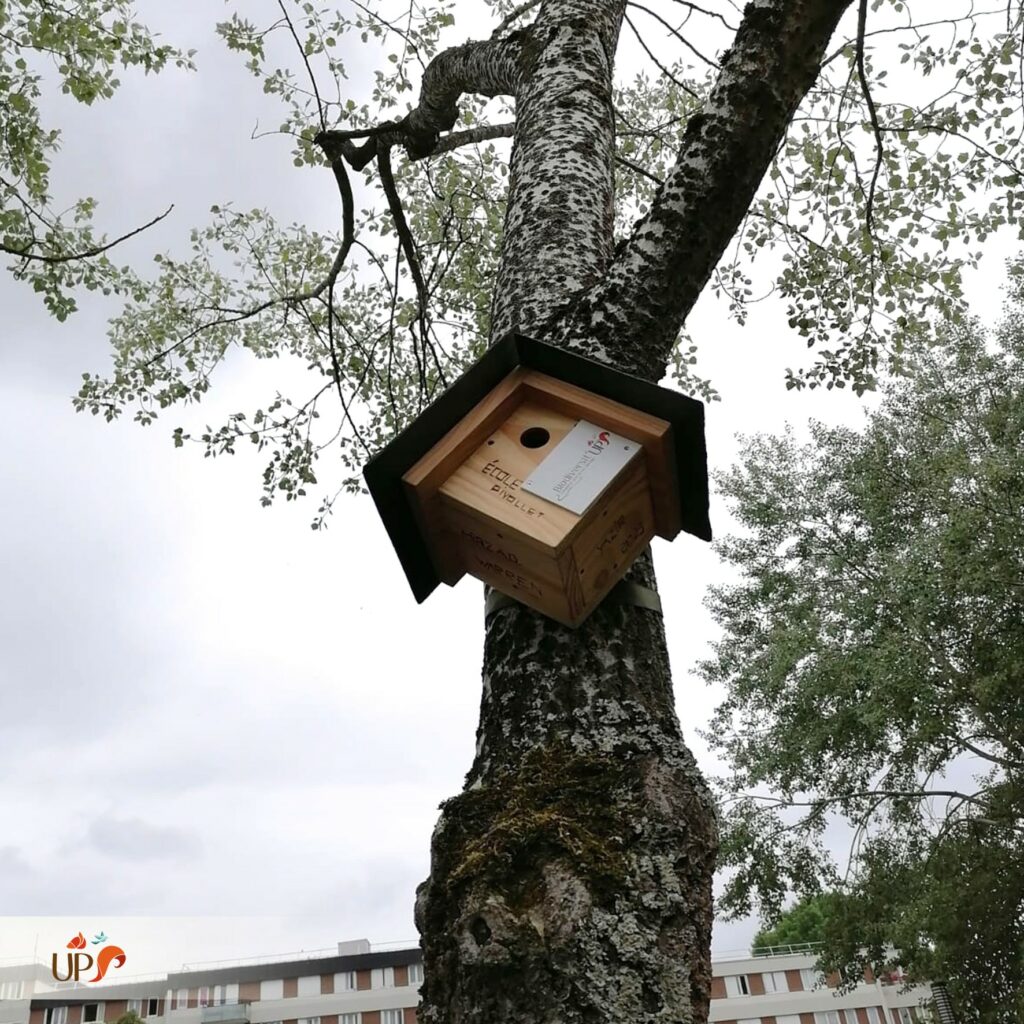 biodiversitup_PFS scolaire (17)