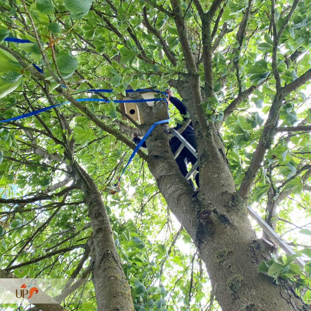 biodiversitup_PFS scolaire (19)