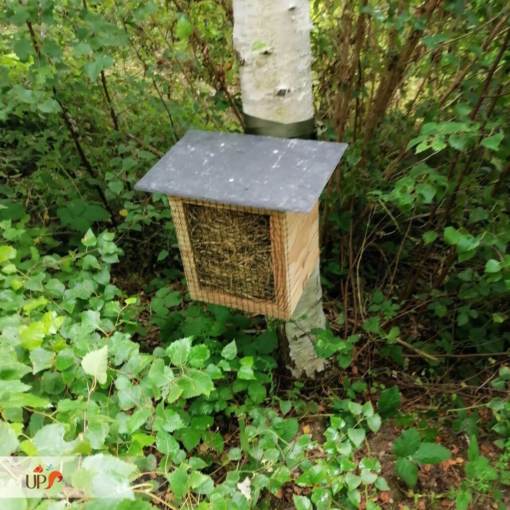 biodiversitup_PFS scolaire (2)