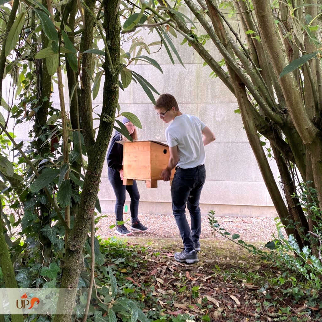 biodiversitup_PFS scolaire (20)