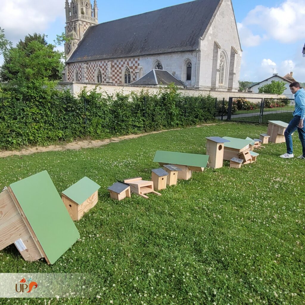 biodiversitup_PFS scolaire (23)
