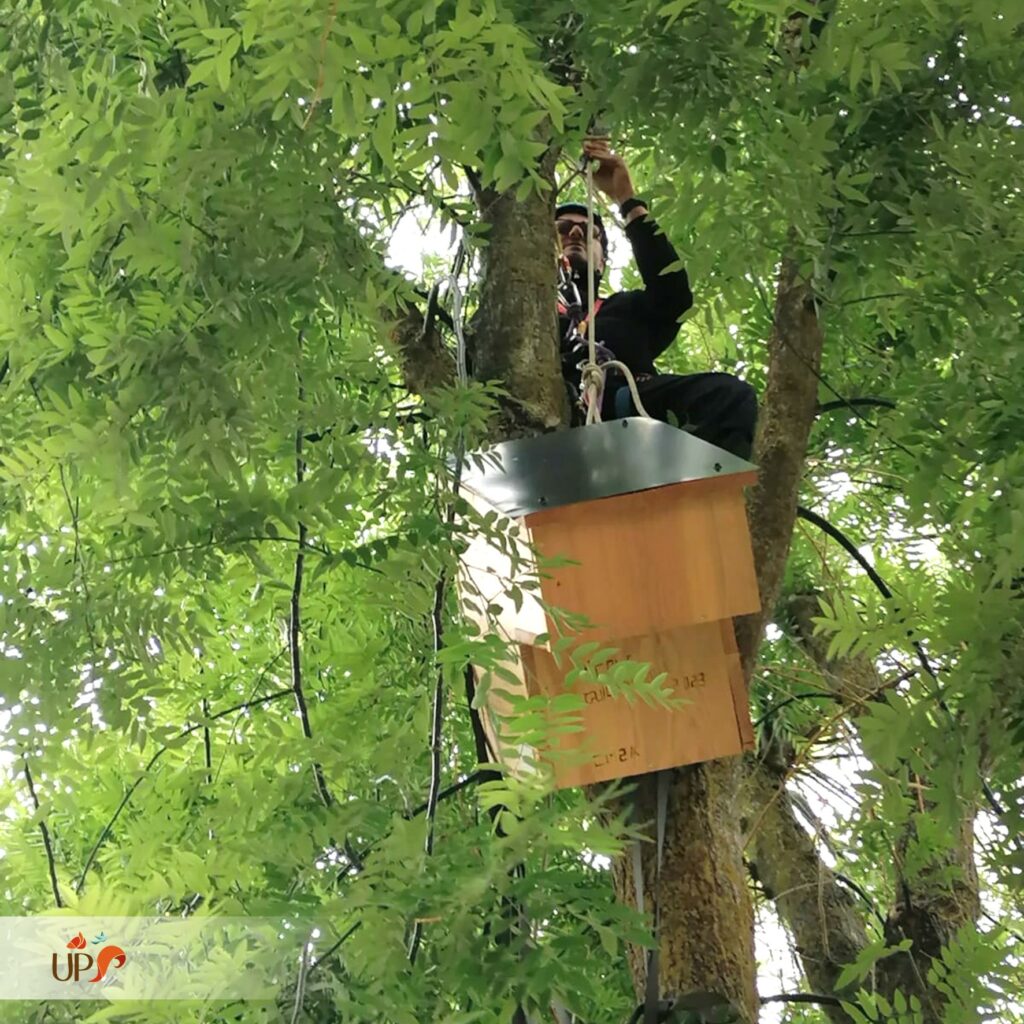 biodiversitup_PFS scolaire (24)