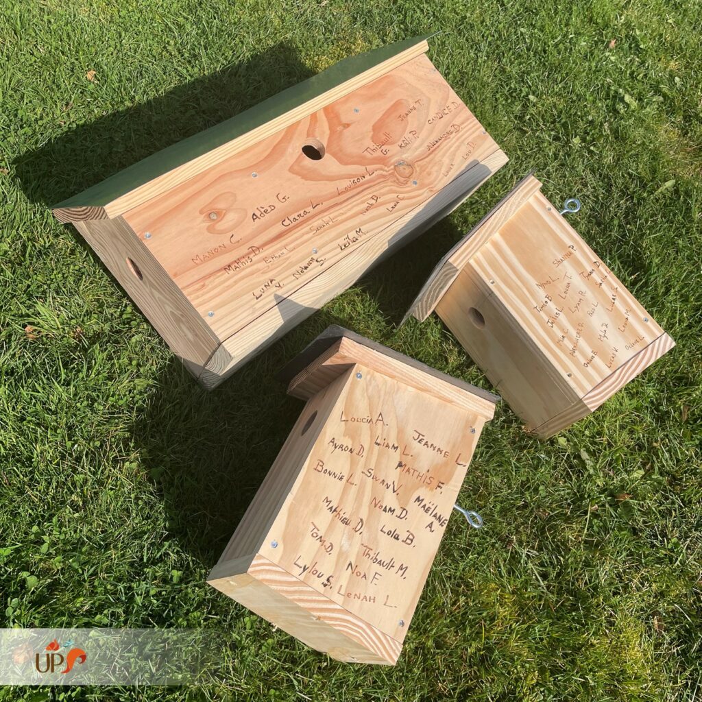biodiversitup_PFS scolaire (25)