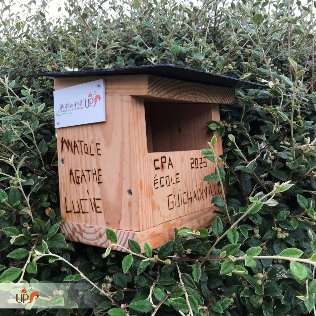 biodiversitup_PFS scolaire (26)
