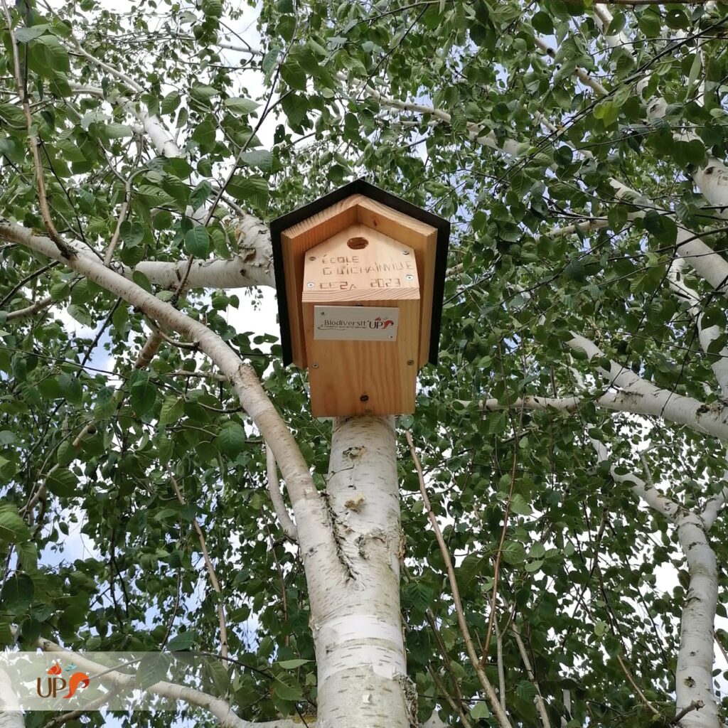 biodiversitup_PFS scolaire (27)