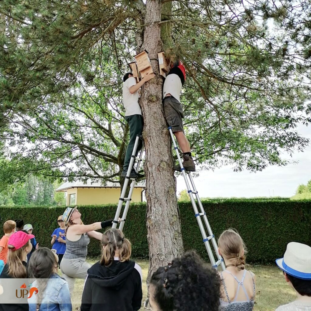 biodiversitup_PFS scolaire (29)