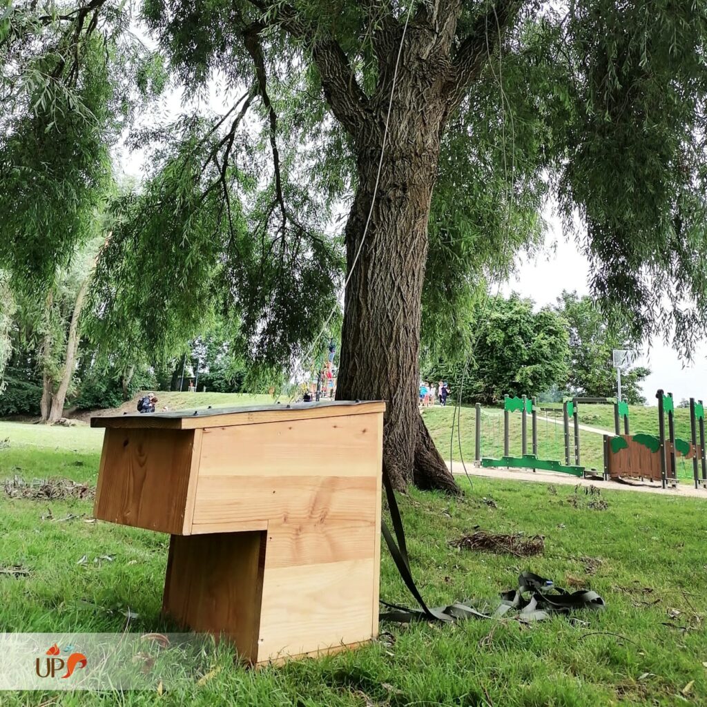 biodiversitup_PFS scolaire (3)