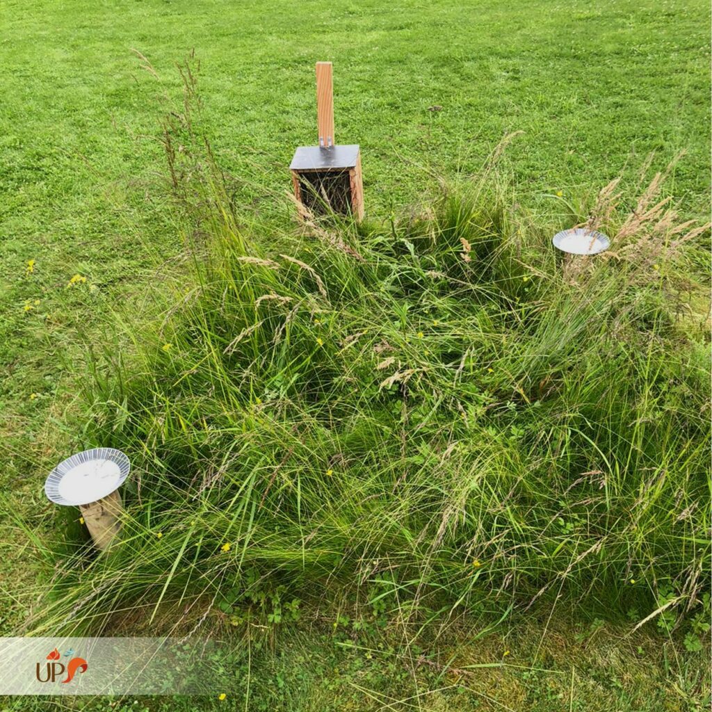 biodiversitup_PFS scolaire (5)