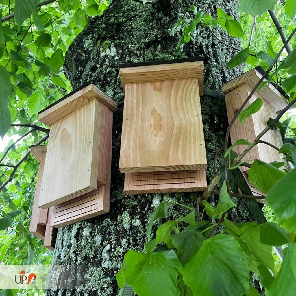 biodiversitup_PFS scolaire (6)