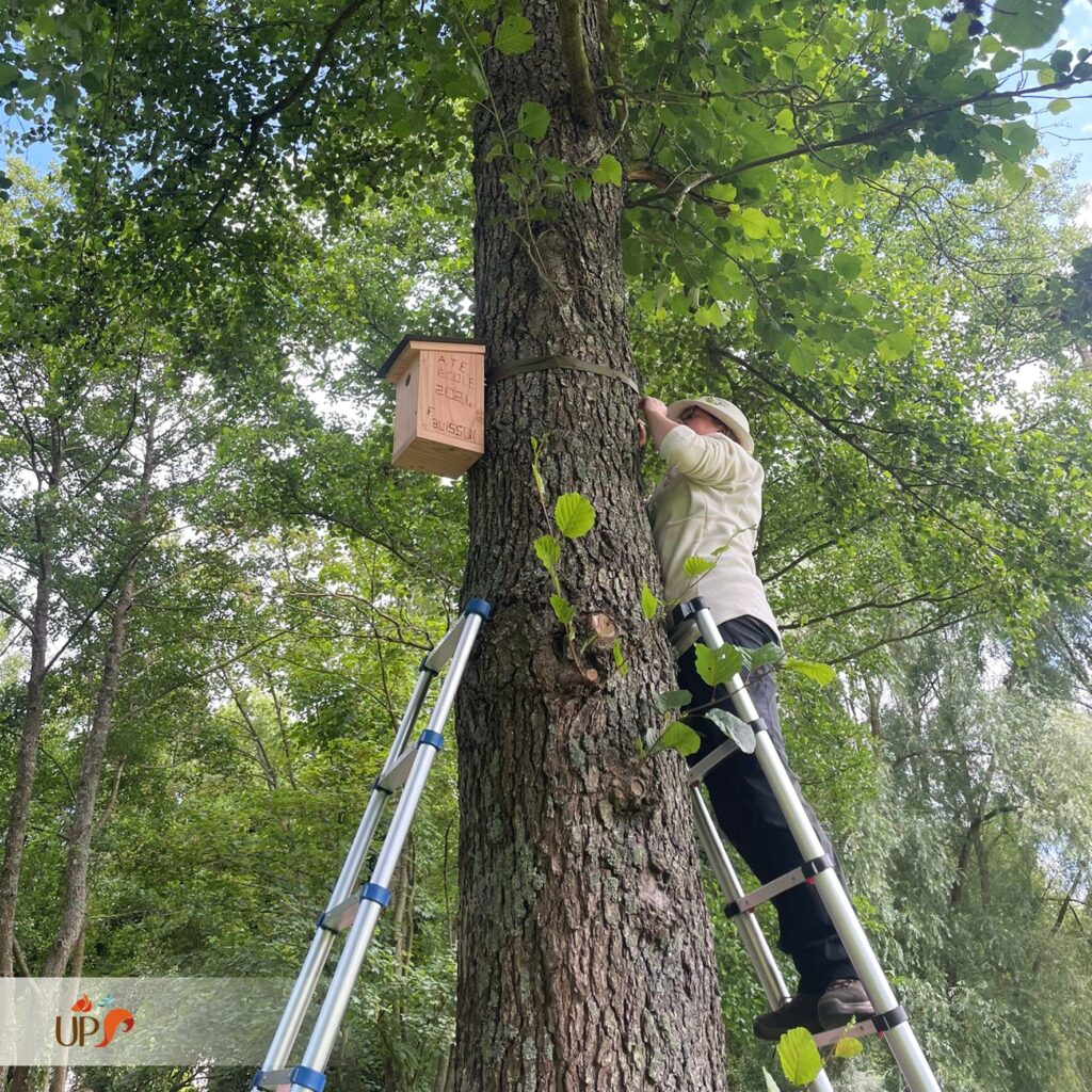 biodiversitup_PFS scolaire (7)