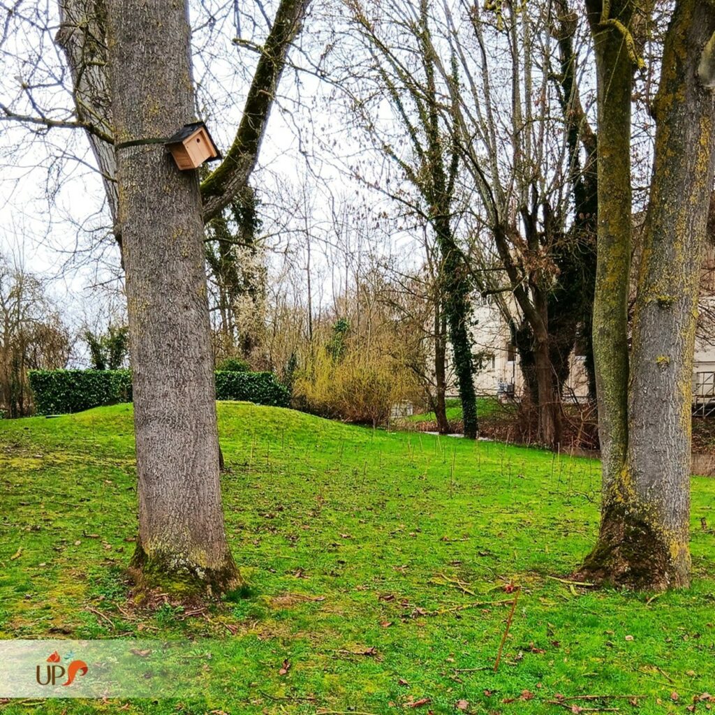 biodiversitup_nichoir à oiseaux (10)