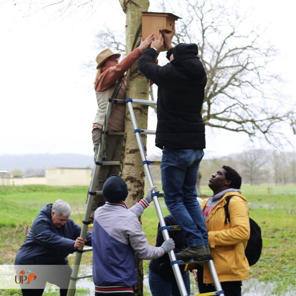 biodiversitup_nichoir à oiseaux (11)