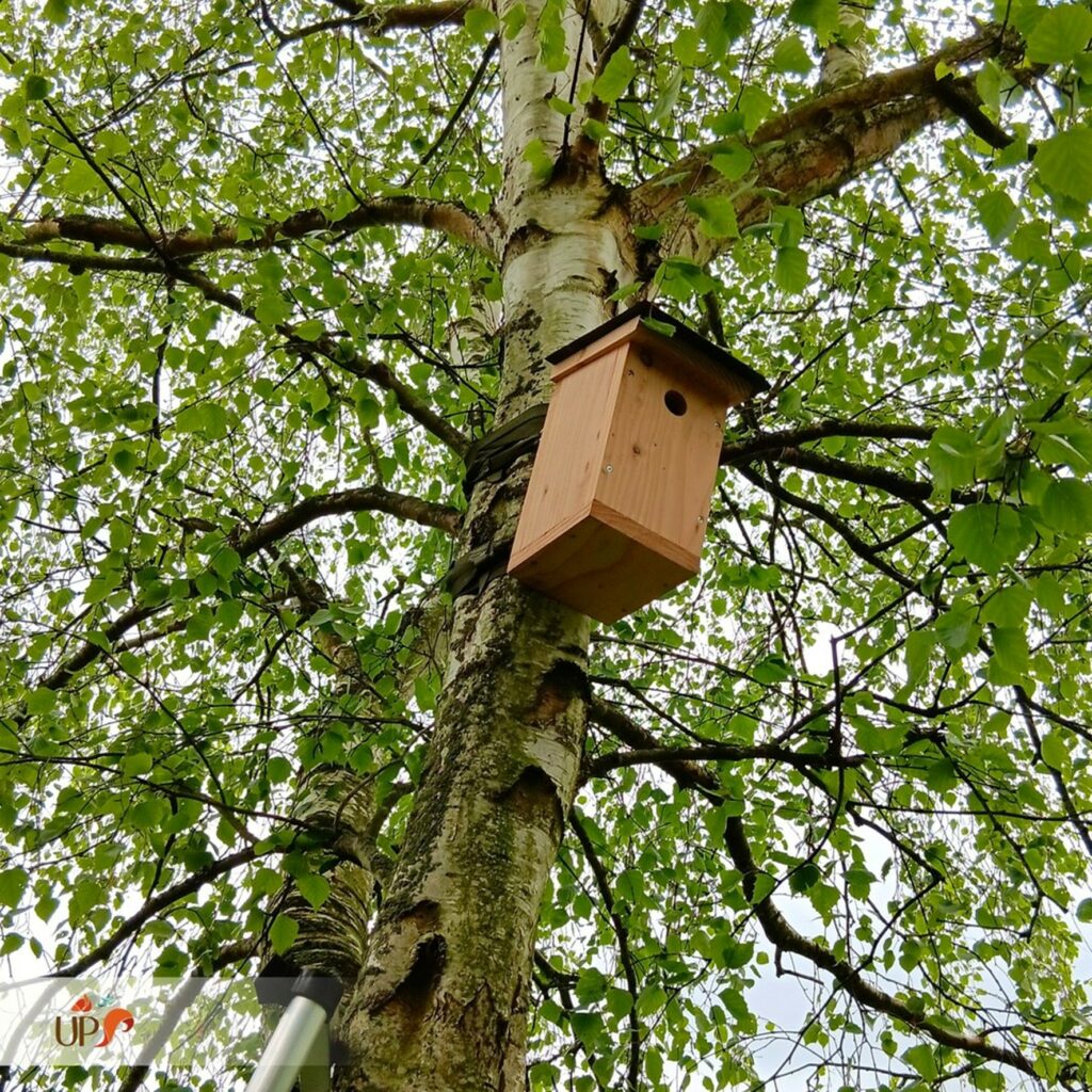 biodiversitup_nichoir à oiseaux (13)