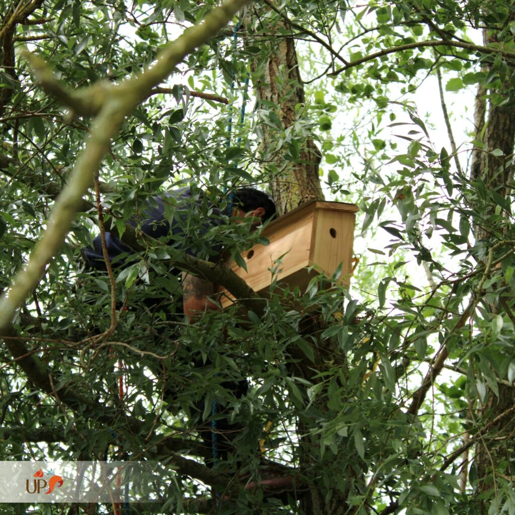 biodiversitup_nichoir à oiseaux (2)