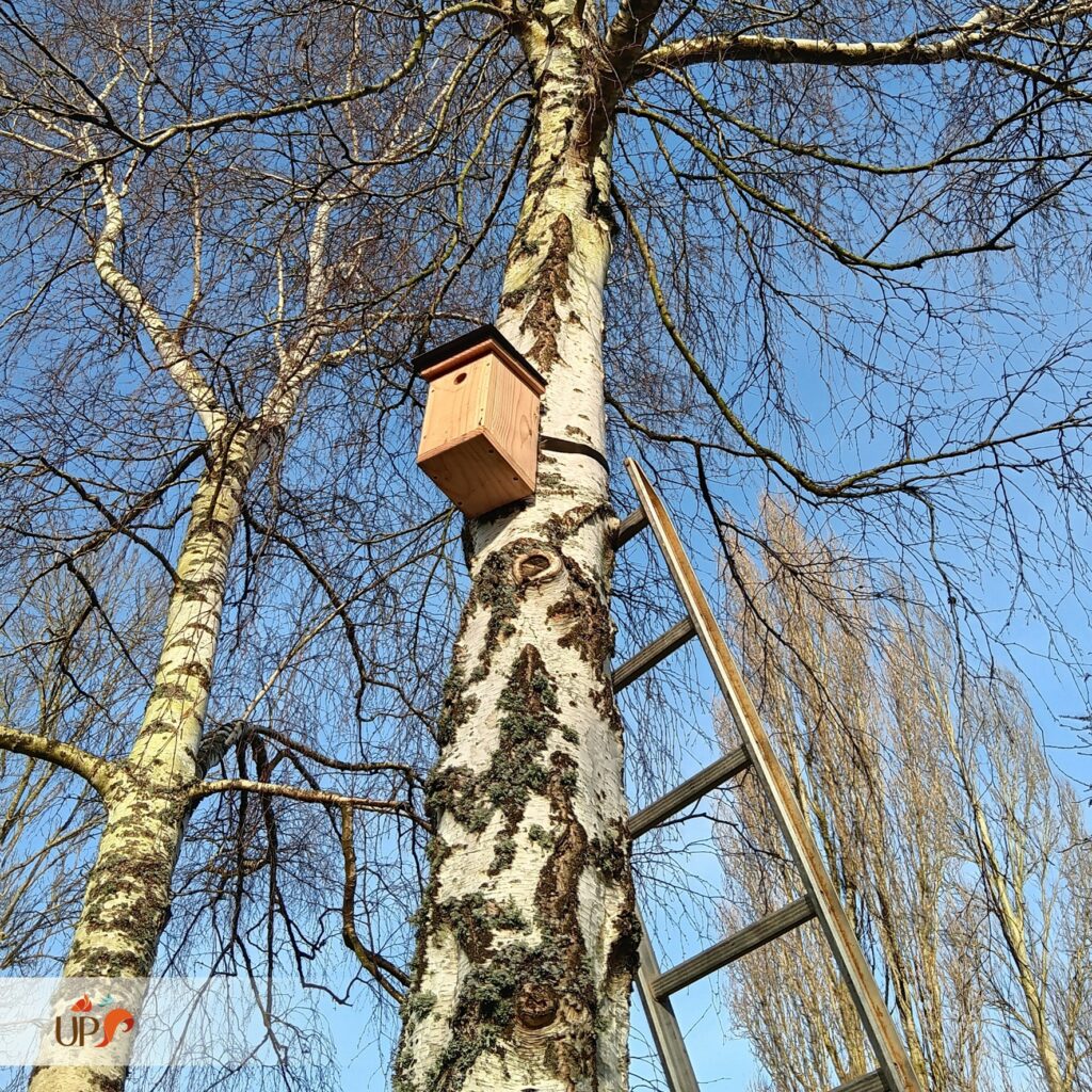 biodiversitup_nichoir à oiseaux (4)