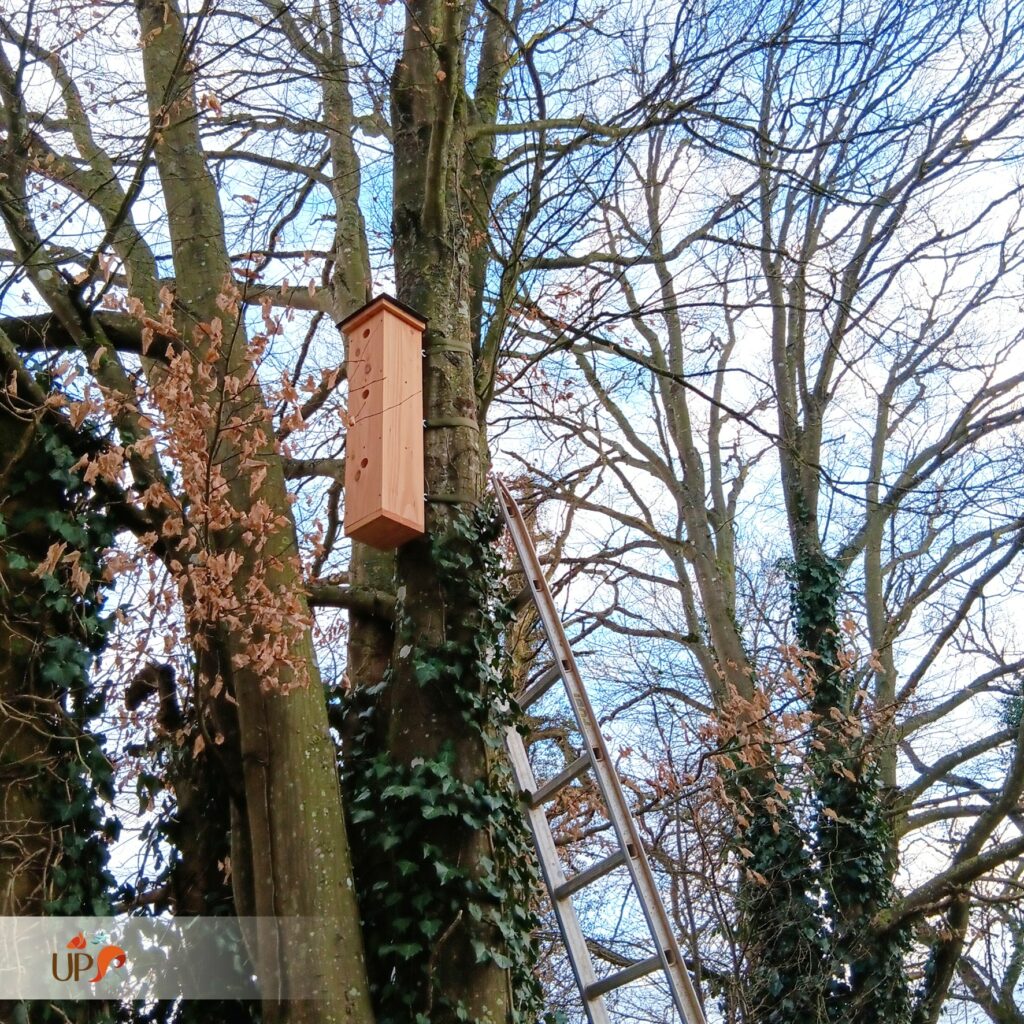 biodiversitup_nichoir à oiseaux (5)