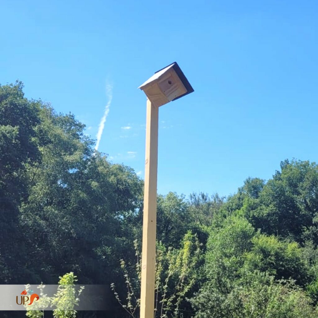 biodiversitup_nichoir à oiseaux (7)