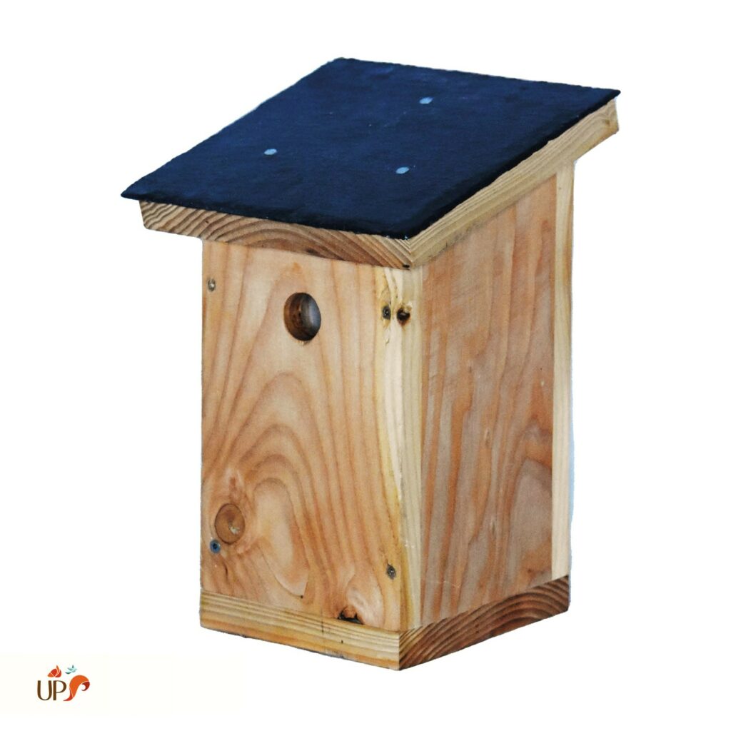 biodiversitup_nichoir boite aux lettres (1)