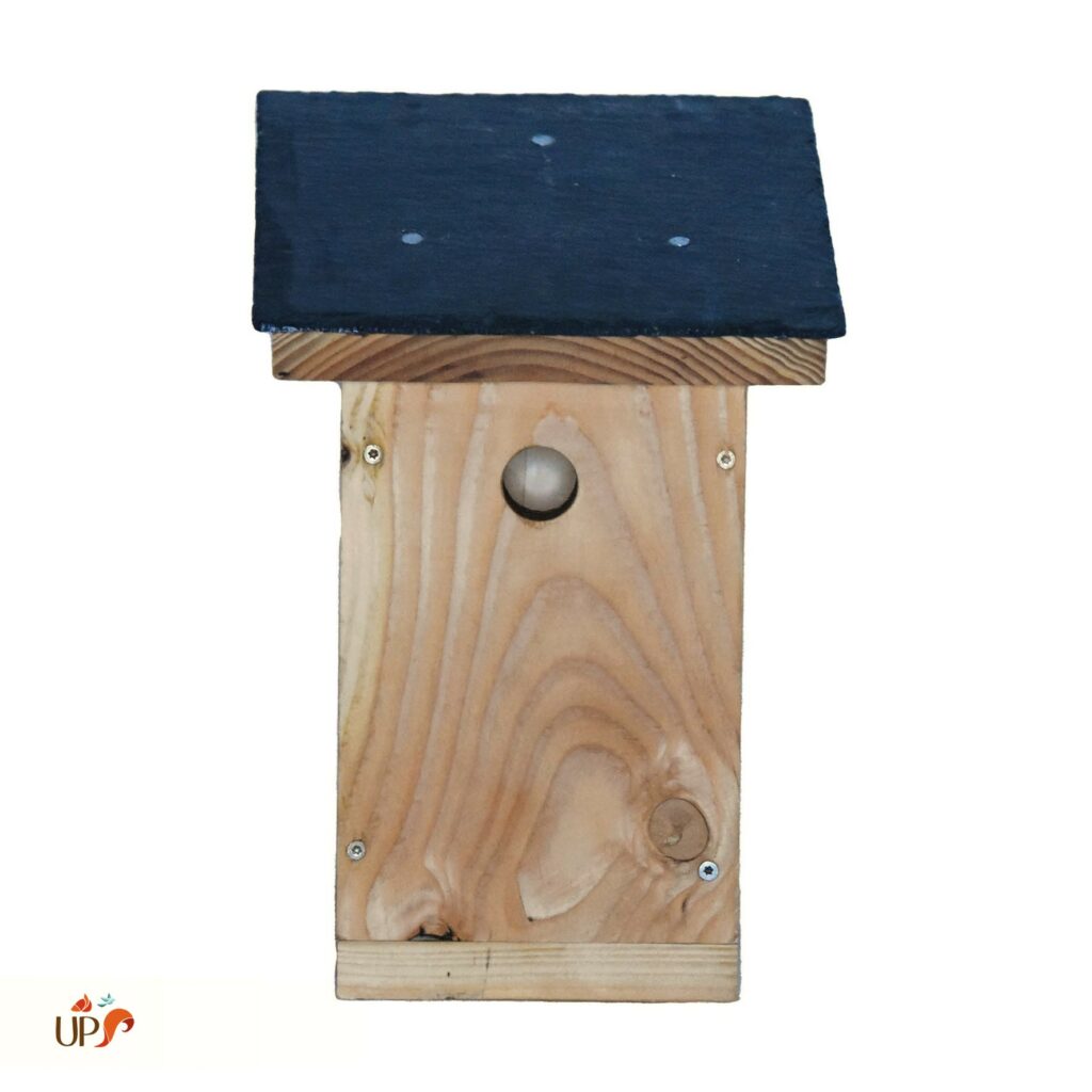 biodiversitup_nichoir boite aux lettres (2)