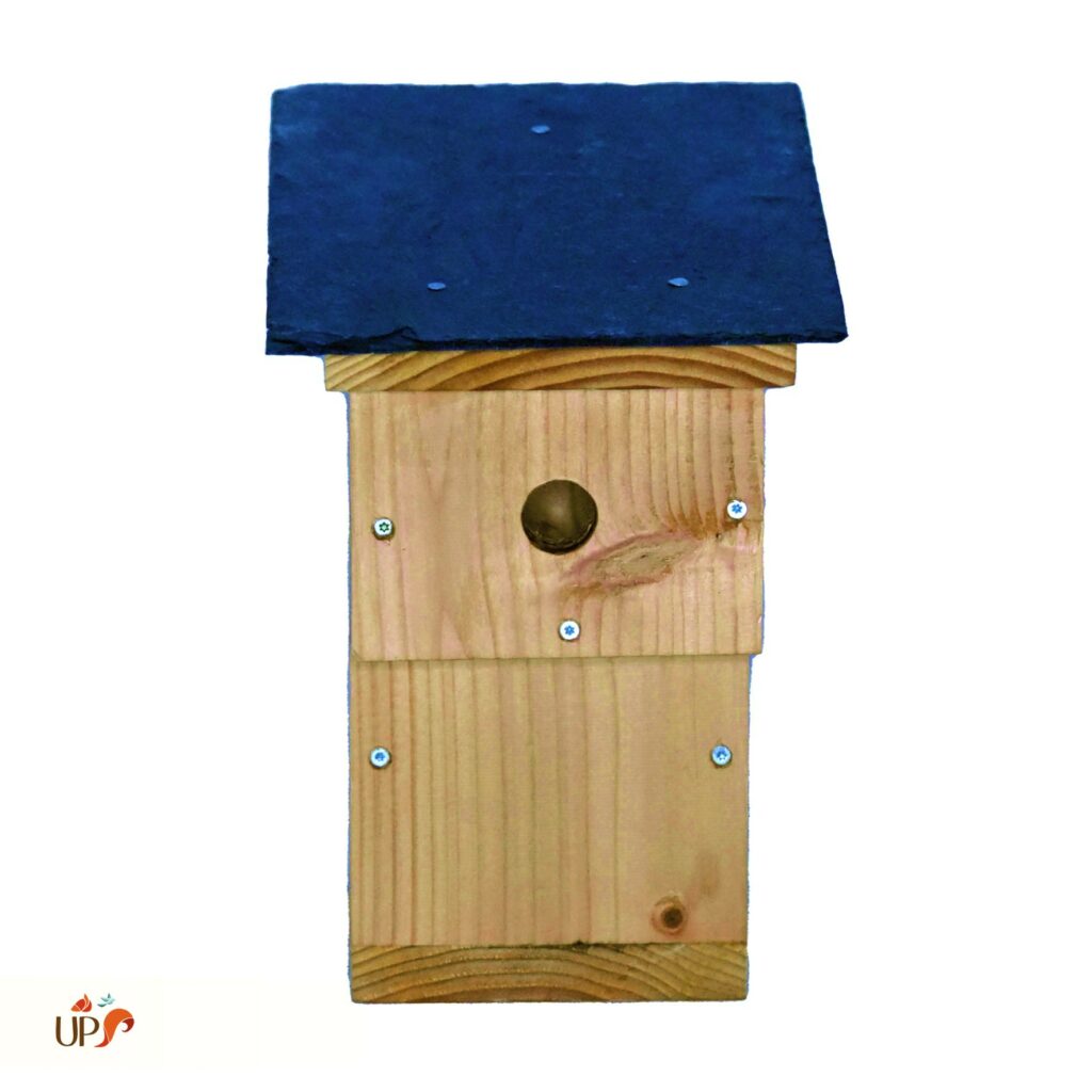 biodiversitup_nichoir boite aux lettres balcon (2)
