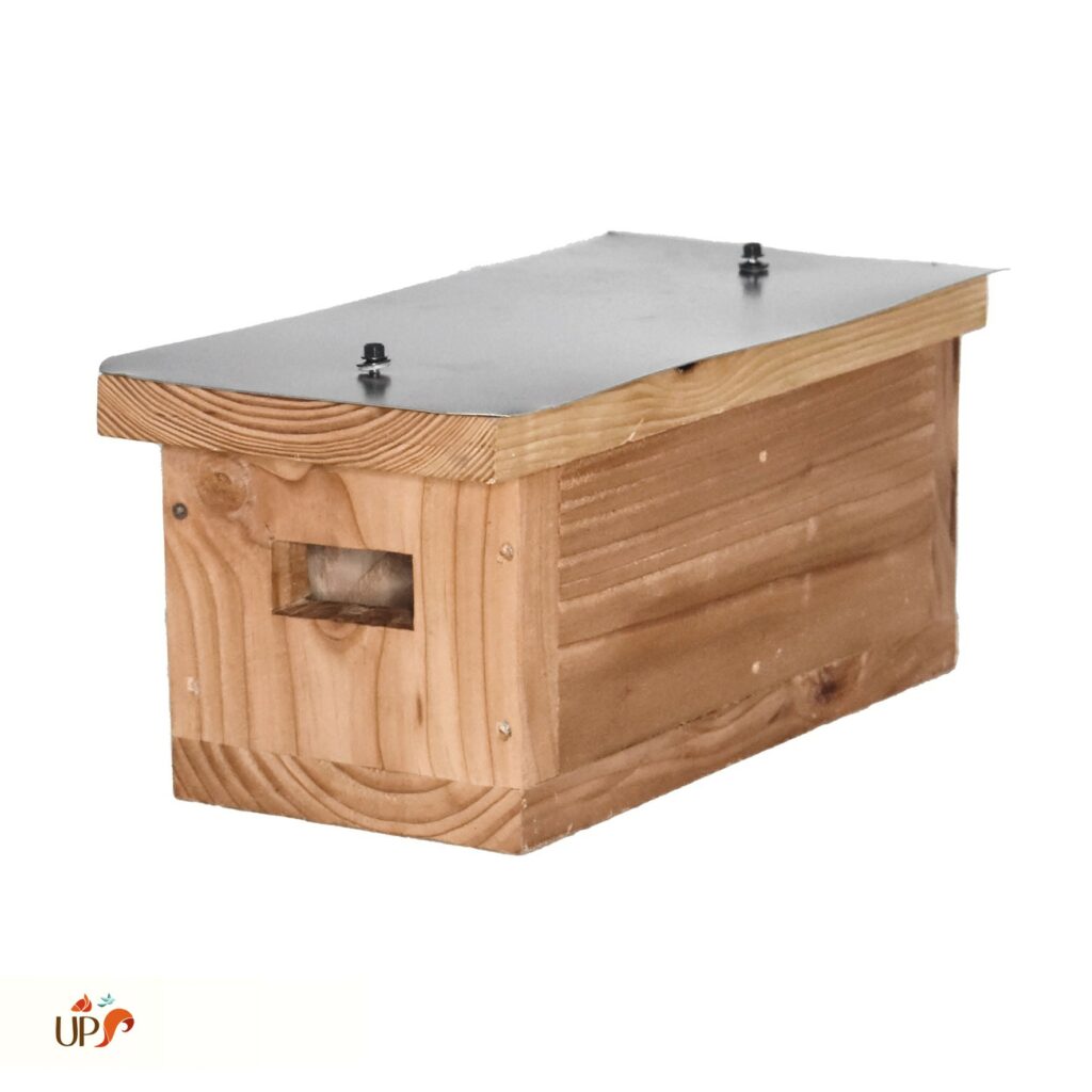 biodiversitup_nichoir martinet (1)