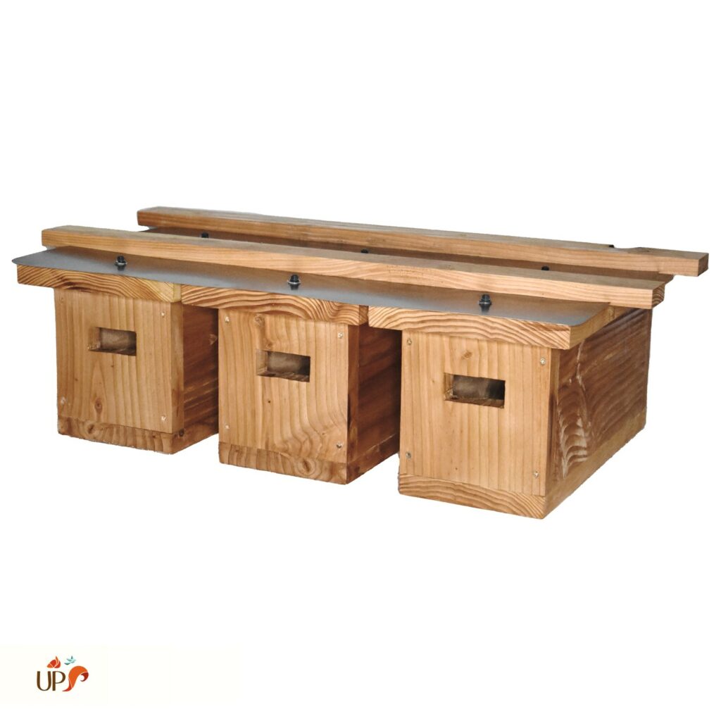 biodiversitup_nichoir martinet colonie (1)