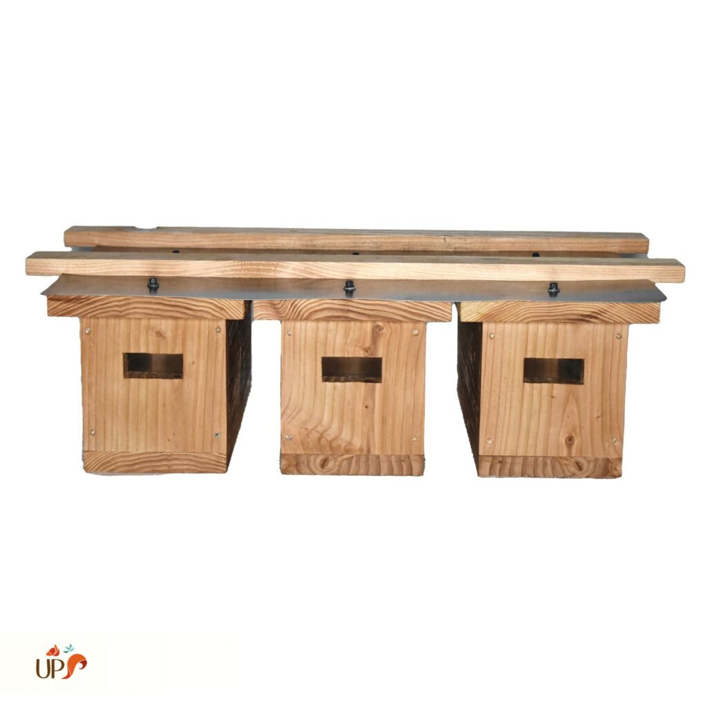 biodiversitup_nichoir martinet colonie (2)