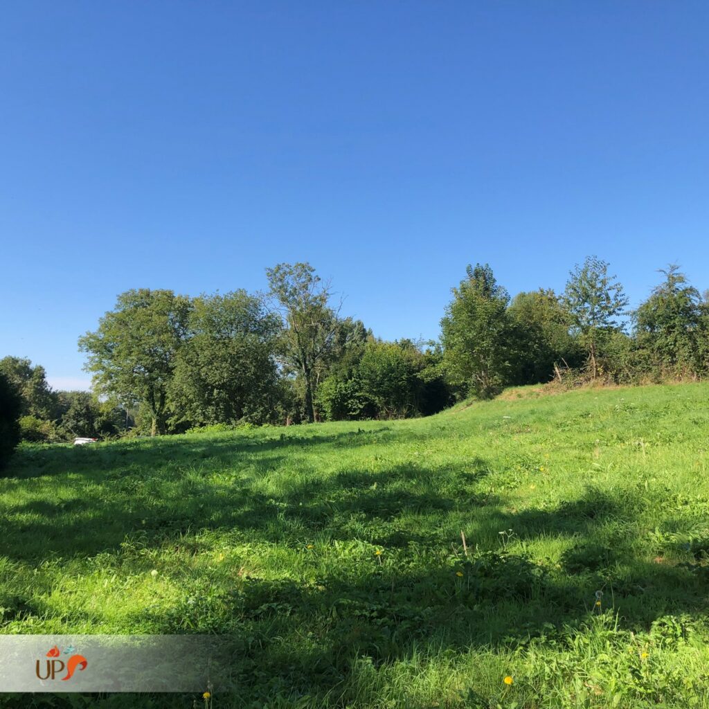 biodiversitup_parcours sportif lisieux (10)