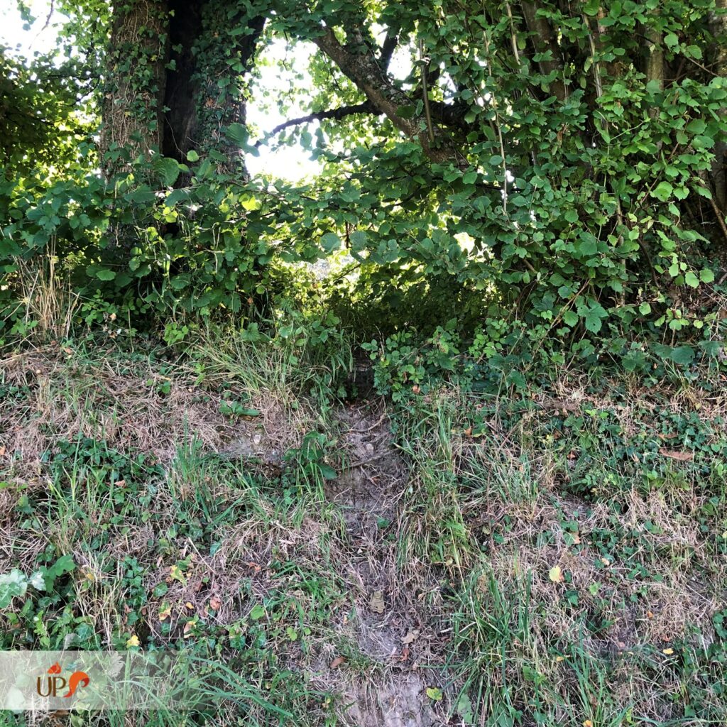 biodiversitup_parcours sportif lisieux (3)
