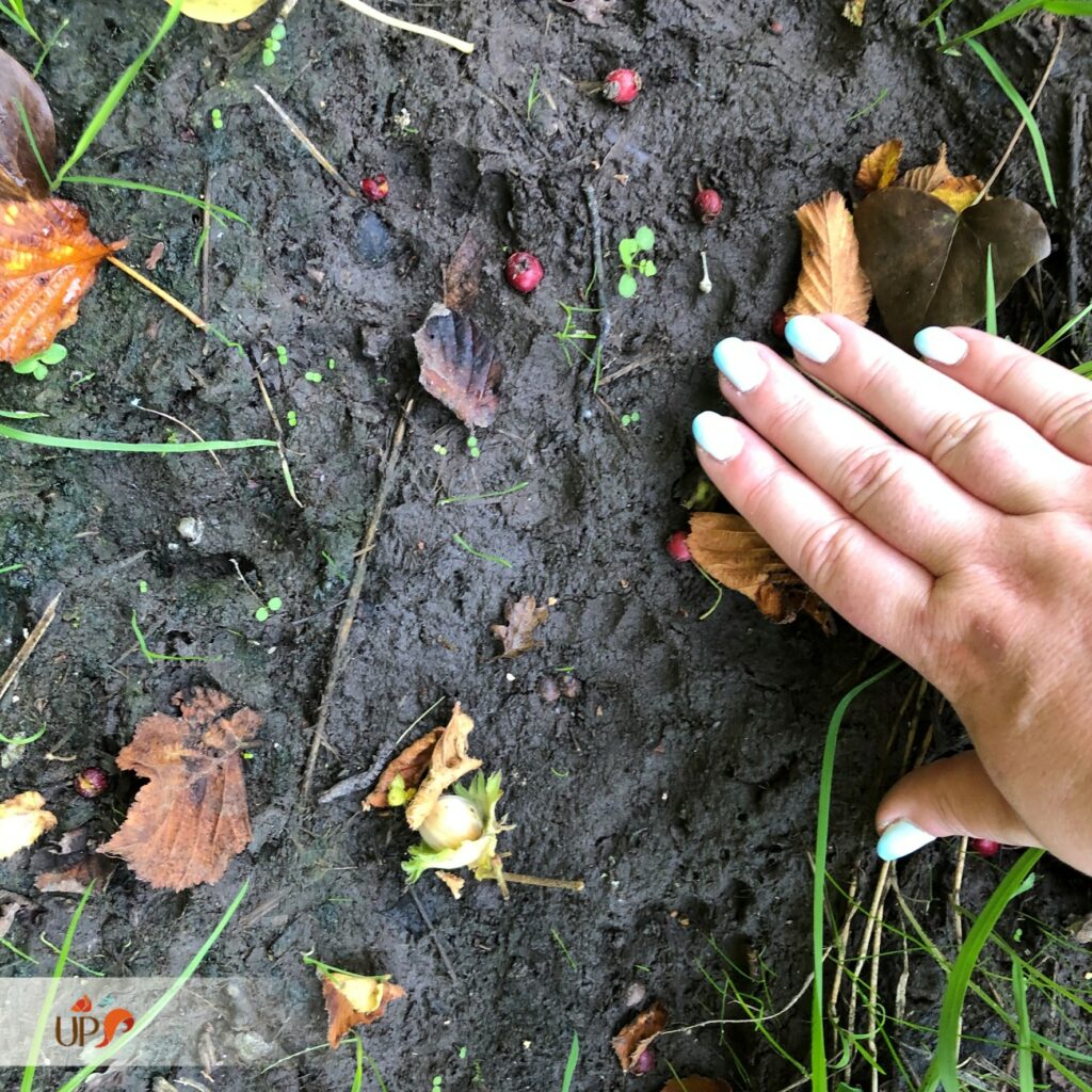 biodiversitup_parcours sportif lisieux (6)