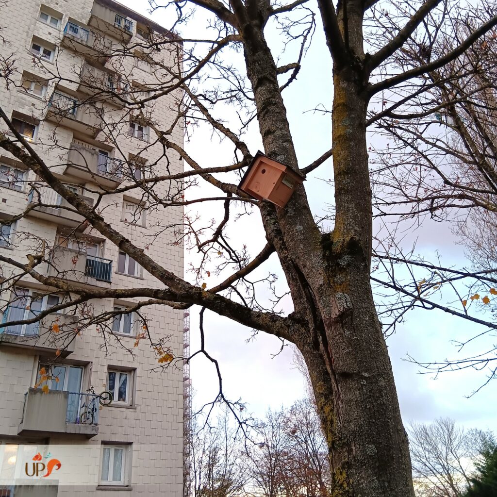 biodiversitup_séquence ERC Bouygues (1)