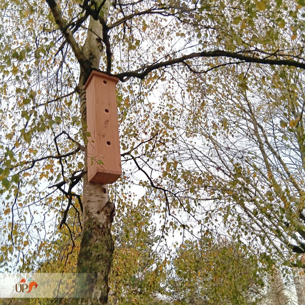 biodiversitup_séquence ERC Bouygues (4)