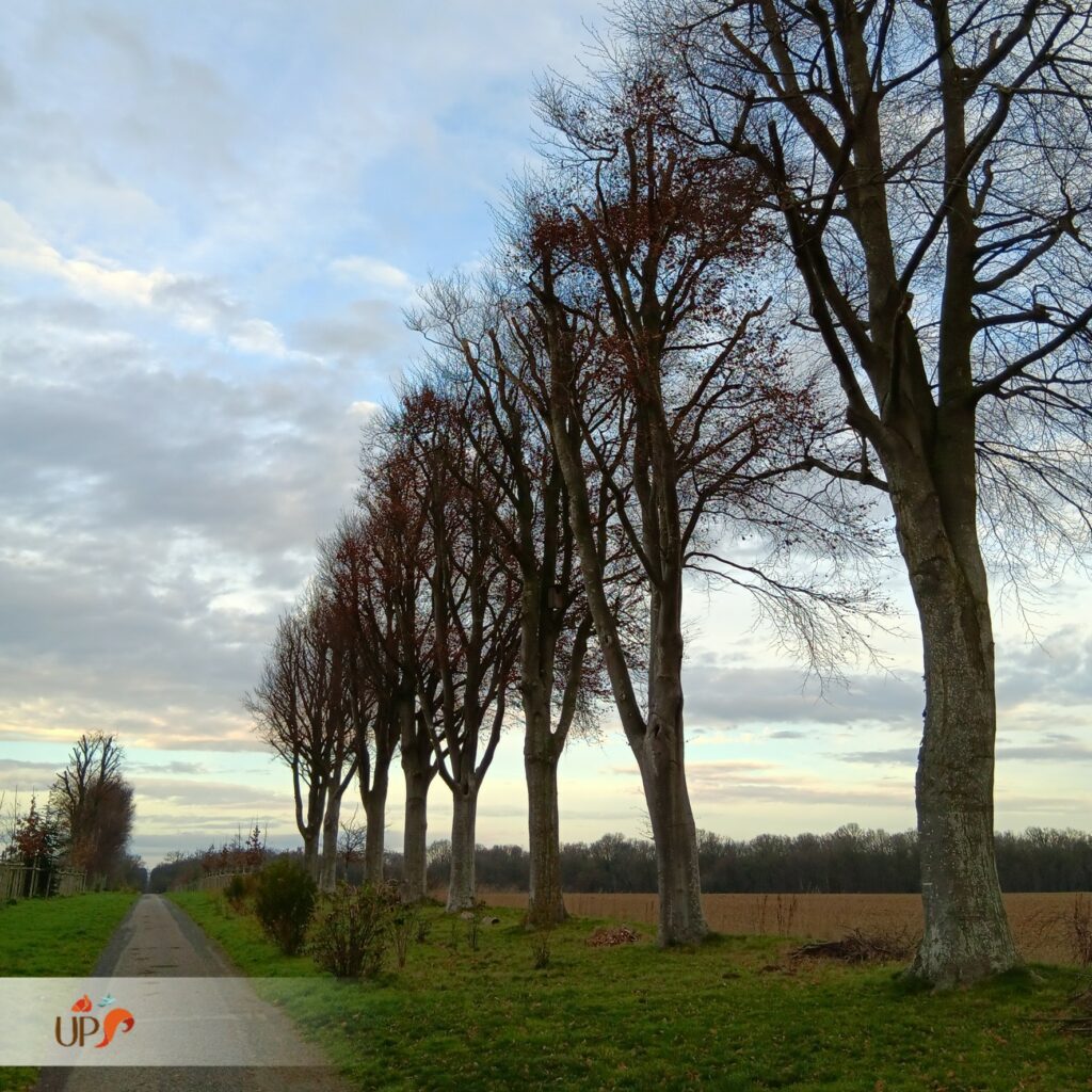 biodiversitup_sequence ERC Le Neubourg (2)