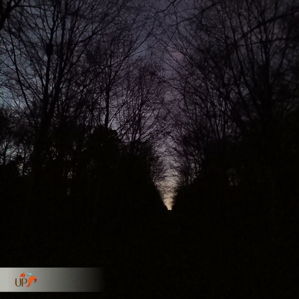 biodiversitup_sequence ERC Le Neubourg (3)