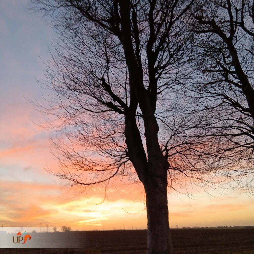 biodiversitup_sequence ERC Le Neubourg (4)