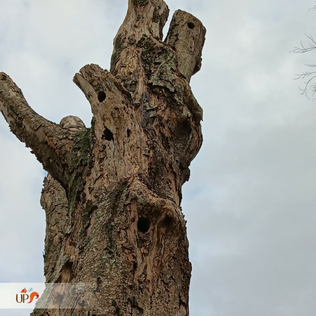 biodiversitup_sequence ERC Le Neubourg (5)