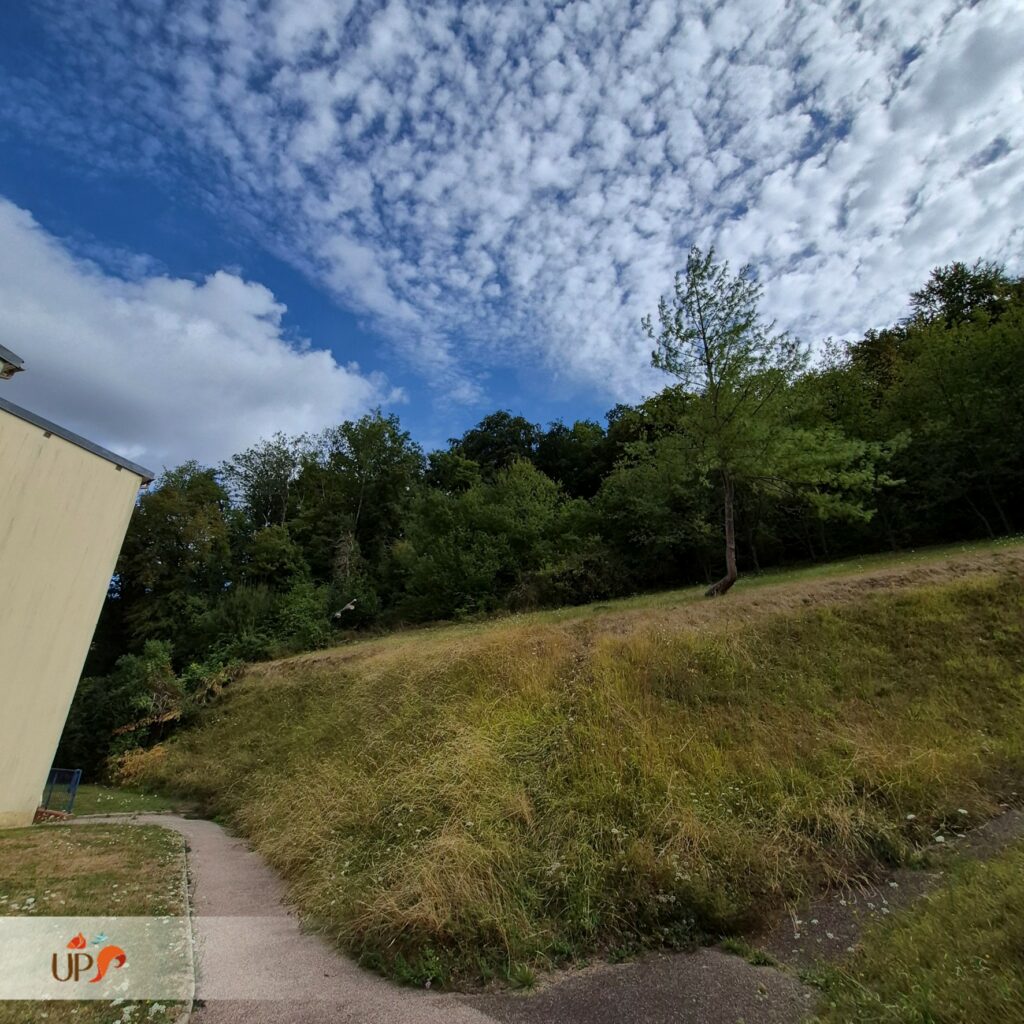 biodiversitup_sequence erc_logeal (5)